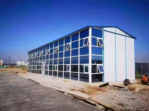 案例展示